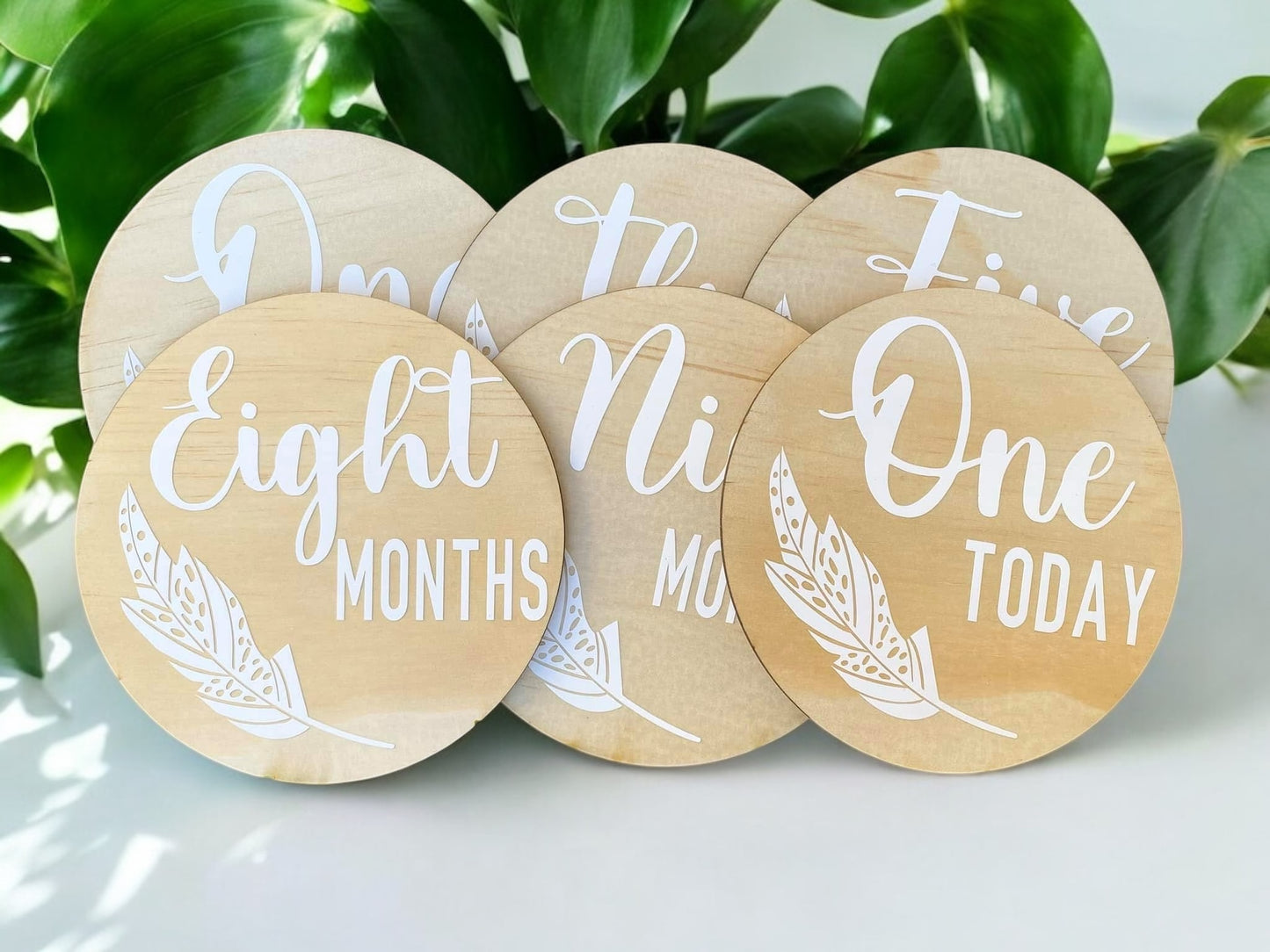 Boho feather milestone set