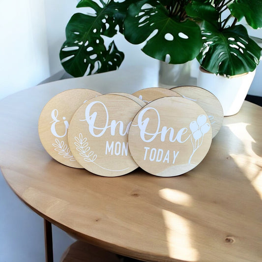 Succulent Milestone set